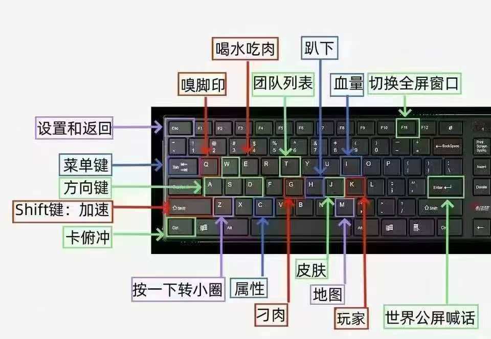 《恐龙岛》新手熟悉键盘按键教程~新手们快来看看